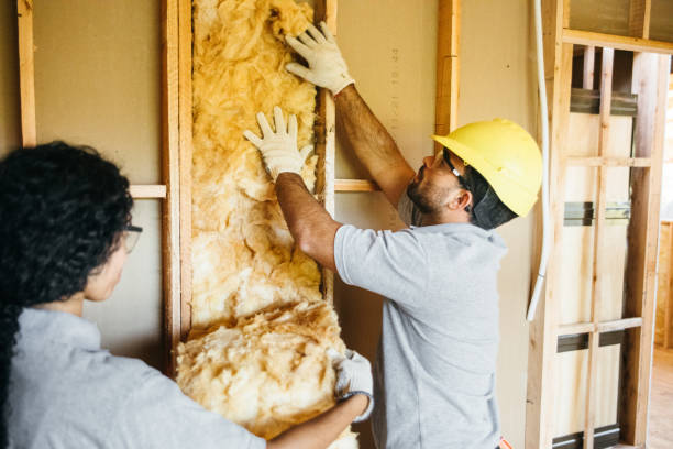 Best Best Insulation Companies  in Baxter, TN
