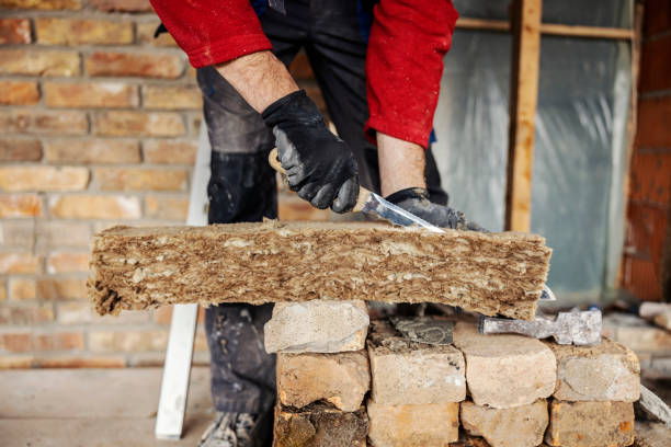 Best Insulation Contractors for Homes  in Baxter, TN